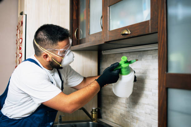 Best Wasp Removal Services  in Union City, GA