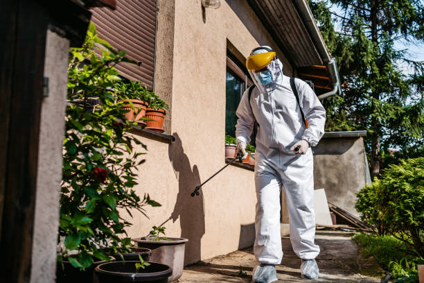 Best Termite Control Services  in Union City, GA