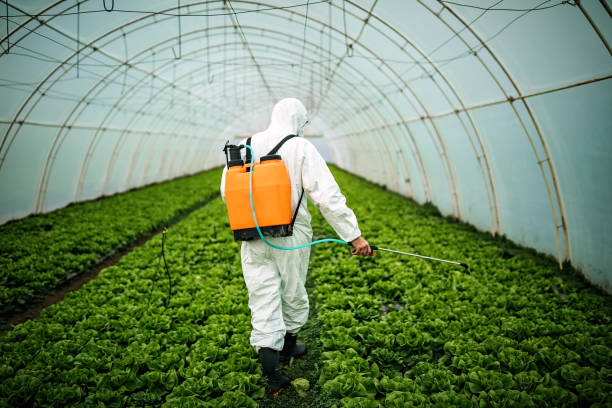 Best Best Pest Control Near Me  in Union City, GA