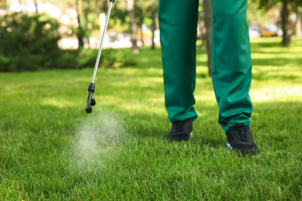 Best Pest Inspection Near Me  in Union City, GA