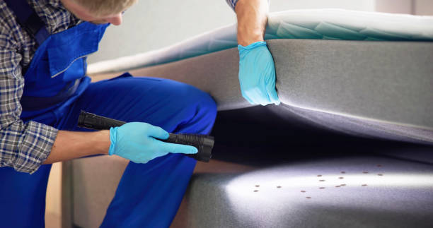 Best Insect Control  in Union City, GA