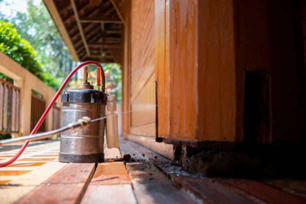 Wasp Removal Services in Union City, GA