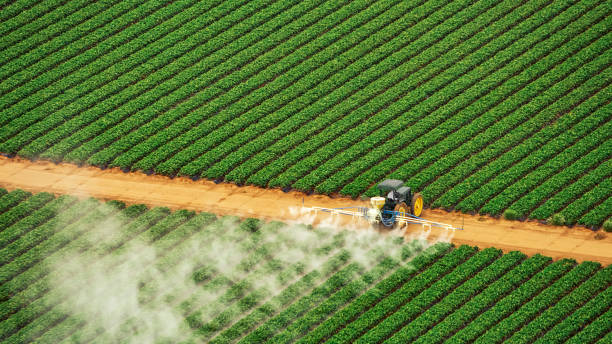 Best Commercial Pest Control Services  in Union City, GA