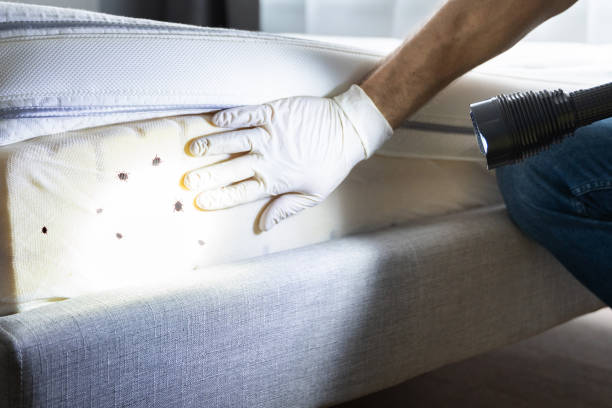 Best Cockroach Control Services  in Union City, GA