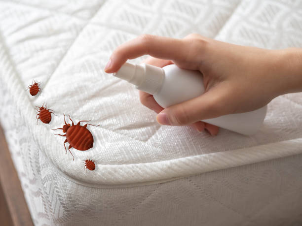 Best Best Pest Control Companies  in Union City, GA