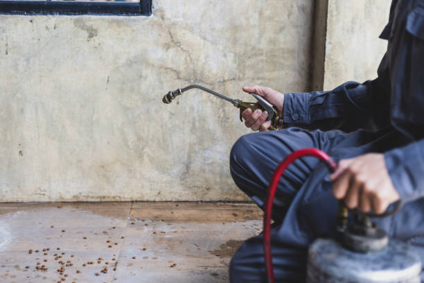 Best Rat Extermination Near Me  in Union City, GA
